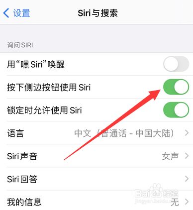 苹果手机屏幕左边搜索关闭苹果手机桌面左侧的搜索怎么关闭-第2张图片-太平洋在线下载