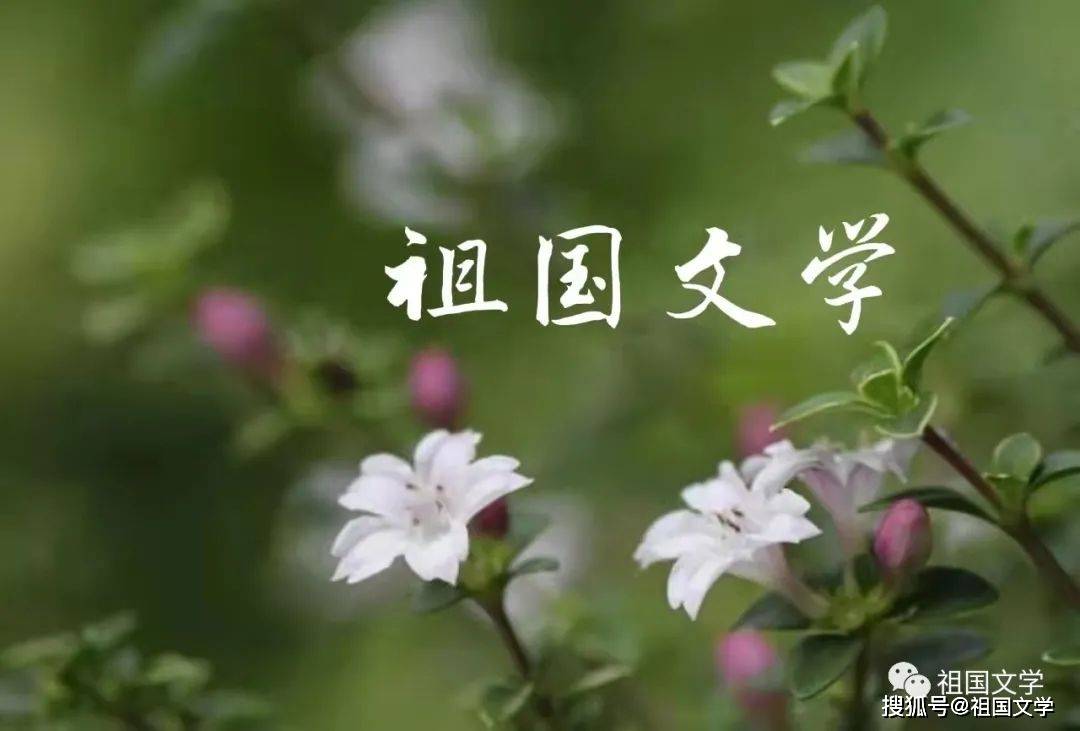 七期花苹果版
:【祖国文学】No.12403期B版||玉兰花开 静心亭