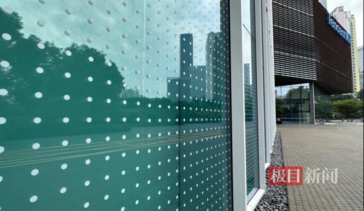 腾讯总部大楼贴“膜”防鸟撞背后：鸟撞频率远比想象高，小波点能帮大忙-第3张图片-太平洋在线下载