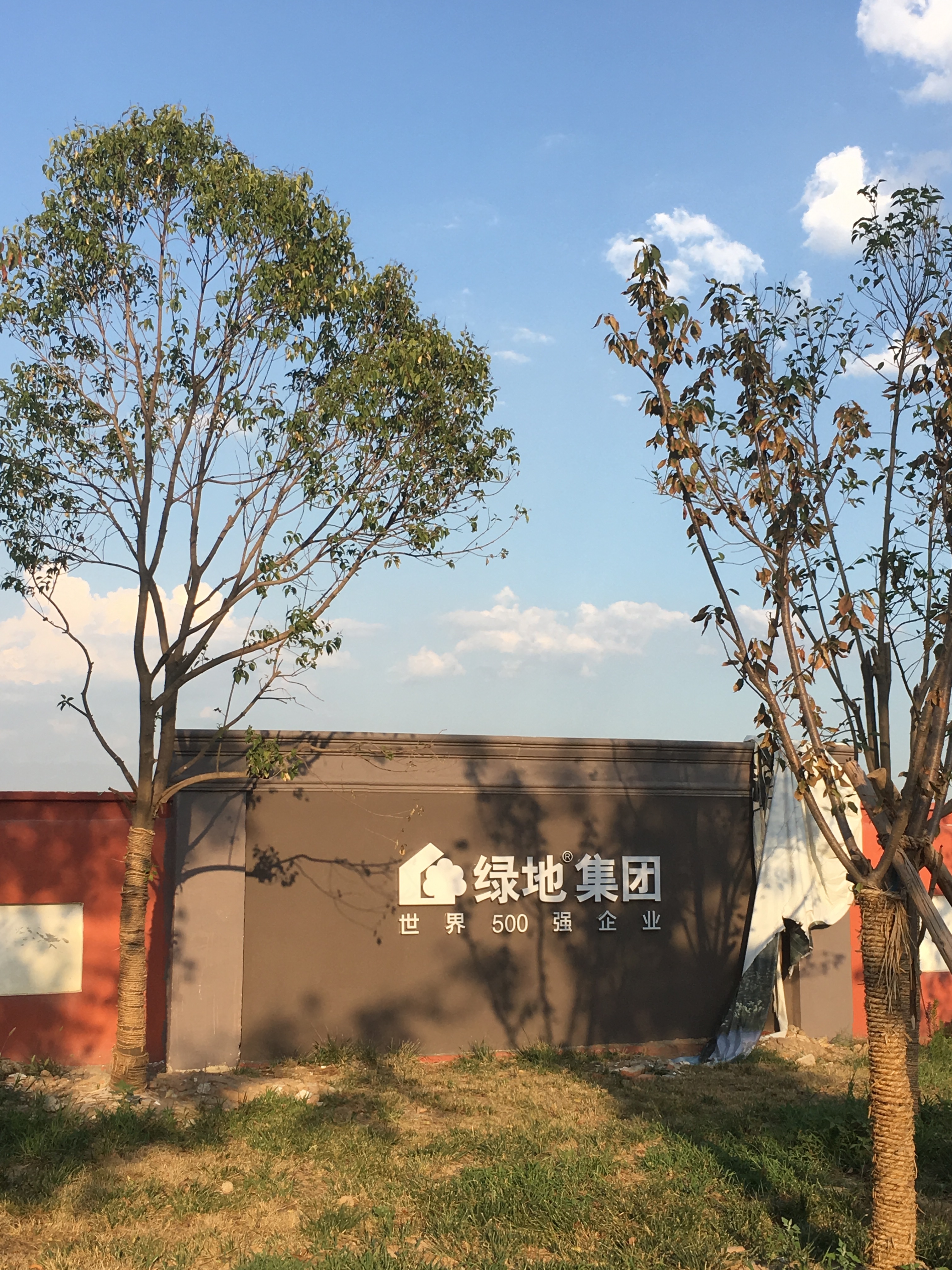高楼迷论坛安卓版高楼迷论坛摩天大楼官网-第2张图片-太平洋在线下载