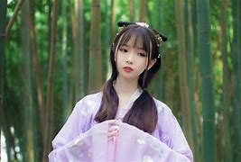 骚客手机版骚视频app在线网页版