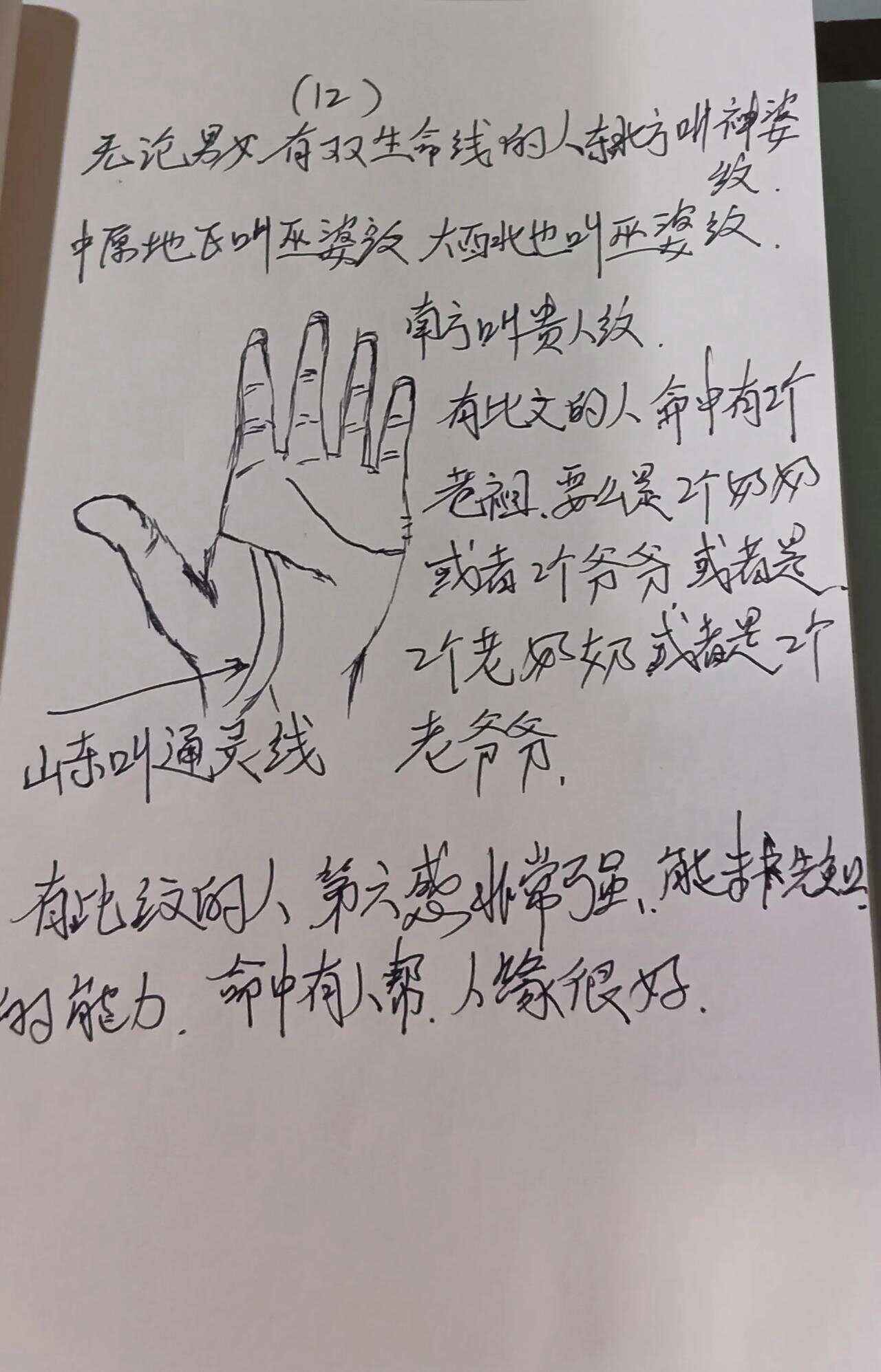 生命线苹果版(生命线ios不见了)